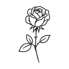 Wall Mural - Simple black and white outline of a rose with leaves – stock vector icon in line style