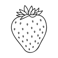 Wall Mural - Black and white strawberry line art illustration – stock vector icon in line style