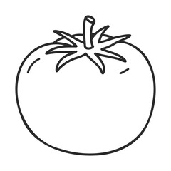 Wall Mural - Black and white vector line drawing of a tomato – stock vector icon in line style