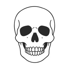 Wall Mural - Simple black and white skull drawing with bold lines on white background – stock vector icon in line style