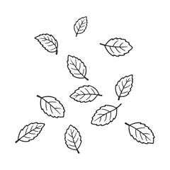 Wall Mural - Hand-drawn leaf sketches: assorted black and white botanical design – stock vector icon in line style