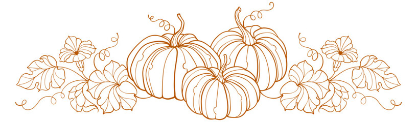 Pumpkin line art style vector illustration
