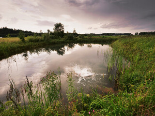 Wall Mural - a man is jumping into a pond wearing an orange swimsuit at dusk. the sky is cloudy and the water is 