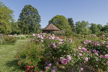Wall Mural - Kiosque dans un parc paysager avec roseraie	
