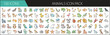 © SulaimanIslam - Cute Animal Icon Pack with 100 Illustrations - A playful set of 100 colorful cartoon animal icons, featuring wildlife, pets, sea creatures, and birds for creative design projects.