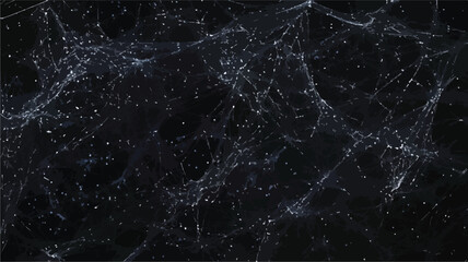 Intricate Spider Web Pattern on Black Background