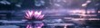 © Artem - The dreamy scene of a pink lotus flower floating on water is a quintessential representation of an abstract zen wallpaper, embodying the qualities of serenity, tranquility, and a soothing background