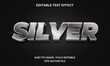 © WS Design - Silver text, editable text effect with chrome silver 3d metallic style