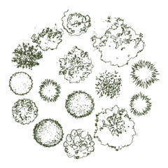 Overhead Tree Plan Collection for Landscape Architecture and Garden Design in Green Tones