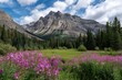 © Eibrahim Imagery - Vibrant wildflowers flourish in a lush meadow before majestic rocky mountain peaks under a cloudy sky