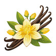 © Olga Shulgina - Vanilla flower and pods vector color illustration. Composition of aromatic spice with buds and leaves.