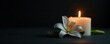© surasak - Single white lily & candle, dark backdrop, quiet remembrance , photo, background