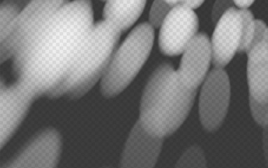 Wall Mural - abstract shadow overlay dappled light on a transparent background.