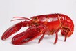 © Damnino - Lobster isolated on white background