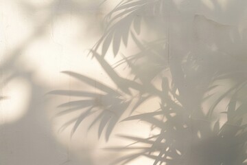 Wall Mural - soft plant shadows on wall