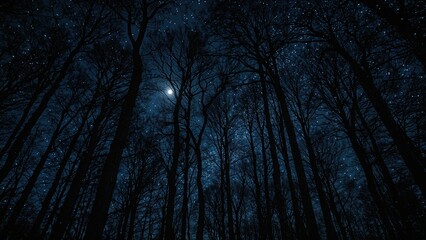 Wall Mural - twilight scene of a starry sky over a mysterious woods