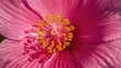 © The 2R Artificiality - Close-up of a pink flower highlighting its reproductive parts and pollen grains