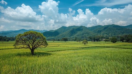 Wall Mural - Among the World's Most Gorgeous Views, Including a Location in the Malay Archipelago