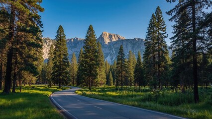 Wall Mural - journey through the park's interior pathways