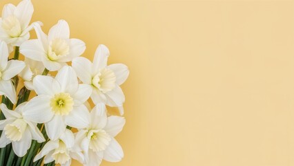 Wall Mural - Close-up of delicate spring daffodils arranged on a pastel yellow surface, ideal for greeting cards