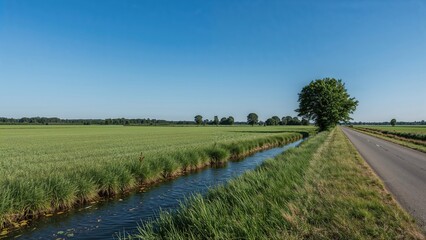 Wall Mural - summer countryside scene featuring a green meadow and waterway under a clear blue sky.