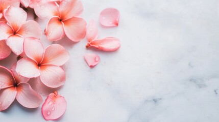Wall Mural - soft pink flower petals scattered on a marble surface after rain shower