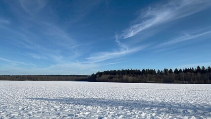 Wall Mural - Picturesque snowy rural area showcasing a forest, open field, and crisp blue heavens.