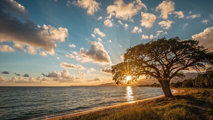 Wall Mural - radiant sunset bathes the countryside in warm light
