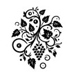 © Muhammad - Black and white grape vine ornamental flourish