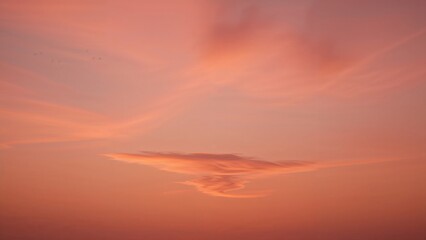 Wall Mural - magnificent sunset horizon featuring clouds