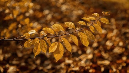 Wall Mural - close-up of a tree branch adorned with yellow leaves, set against a backdrop of fallen dry leaves.