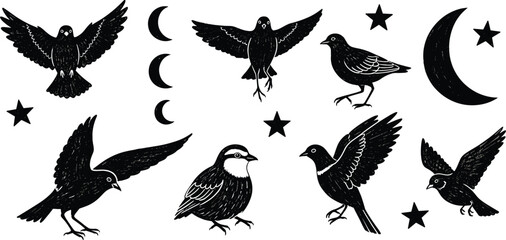 Abstract crayon drawn birds and doves collection. Hand drawn vector black ink illustration. Simple naive style.