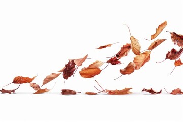 Wall Mural - autumn leaves floating in air