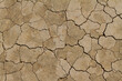 © Shanon - Dry cracked earth background
