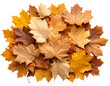 © MdJillur - Flat Lay Arrangement of Autumn Foliage in a Loose Pile, isolated on a transparent background.