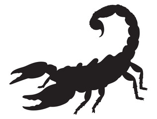 scorpio silhouette