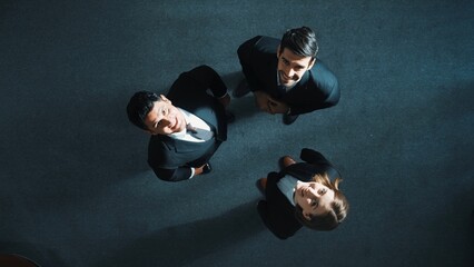 Wall Mural - top down aerial view of diverse business team explain marketing strategy while standing and looking 