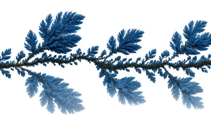 Wall Mural - vivid blue feathers png, transparent background image for design vivid