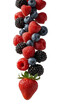 © yendisupiandi - Vertical arrangement of fresh berries, capturing vibrant colors and textures against a pure backdrop
