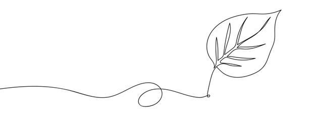 Wall Mural - Continuous hand drawn line, leaves, isolated Simple art lines, vector on transparent background, editable strokes.