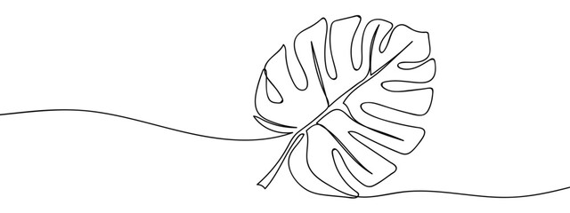Wall Mural - Continuous hand drawn line Monstera plant Simple art lines, vector on transparent background, editable strokes.