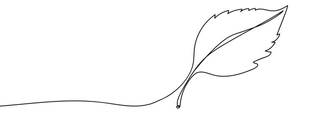 Wall Mural - Continuous hand drawn line, leaves, isolated Simple art lines, vector on transparent background, editable strokes.