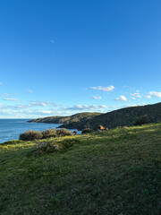 Wall Mural - Green hill by the coastline with two kangaroos.