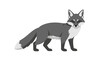© Arsaka  Saka - Elegant Grey Fox Illustration Standing with White Background, Simple and Minimalist Design Depiction Animal Illustration