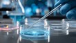 © xinxia - A scientist in blue gloves uses a pipette in a laboratory to handle liquid in a petri dish for scientific research.