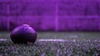 © An - A purple football on a green field with a purple background.