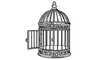 © Rafael - Vintage birdcage outline illustration vector drawing antique cage design element decorative bird cage graphic 100