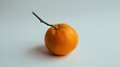 © Ruhel - Freshly harvested orange fruit with branch isolated on light blue background simple food photography