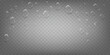 © Anna - Wide transparent background with realistic drops on top border