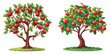 © Pixeloop - Apple trees with red fruits illustration isolated on transparent PNG image perfect for harvest posters or organic food visuals